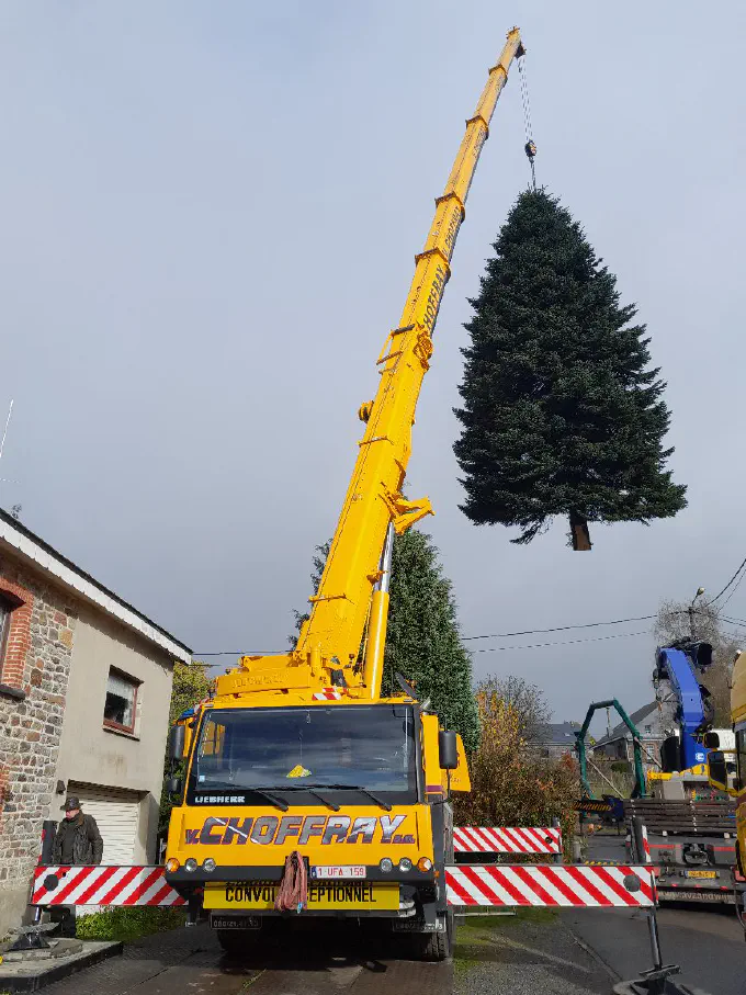 Enlèvement d'un grand sapin à la grue télescopique